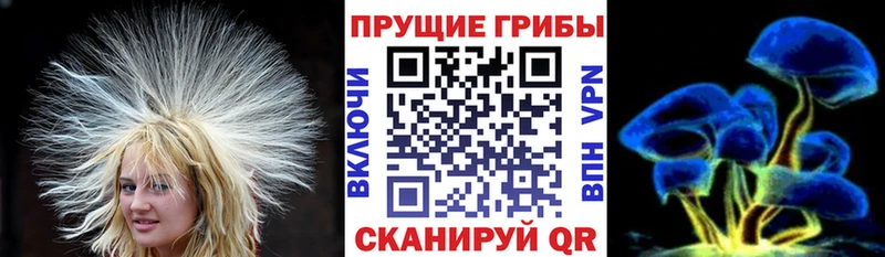 купить Верхоянск Псилоцибиновые грибы ЛСД